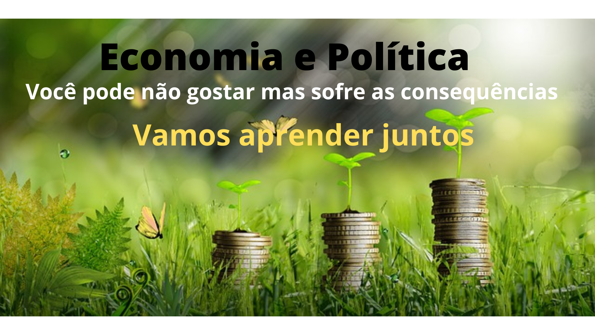 Economia e Política - Pixabay - Canva Economia e Política - Pixabay - Canva